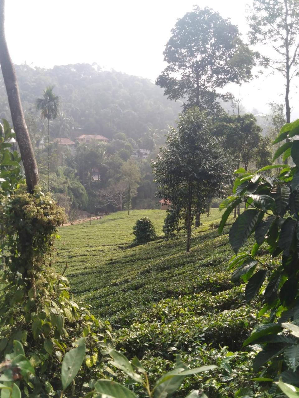 Letstay Vythiri Hill Palace Eksteriør bilde